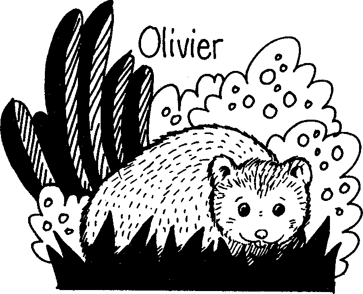 Bestand:Olivier de hamster.png