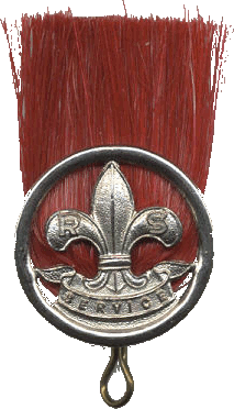 Bestand:Rover Scouts hoed pluim.png