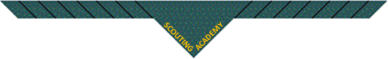 Bestand:Neckie SCOUTING ACADEMY.png