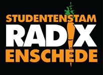 Radix logo.jpg