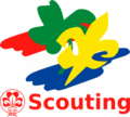 Scouting Nederland, 199? tot 2010